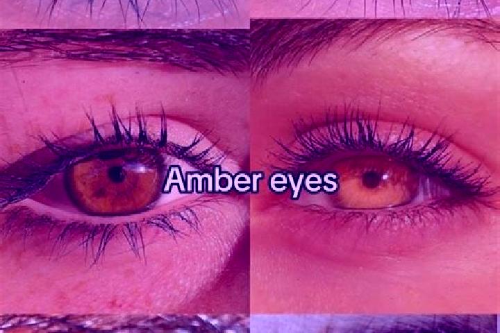 Aubrey, 22, a chestnut amber-eyed caucasian companion based in Cigaras. Offering Duos, Domination, CIM, Girlfriend Experience, Couples. Available for incall ...