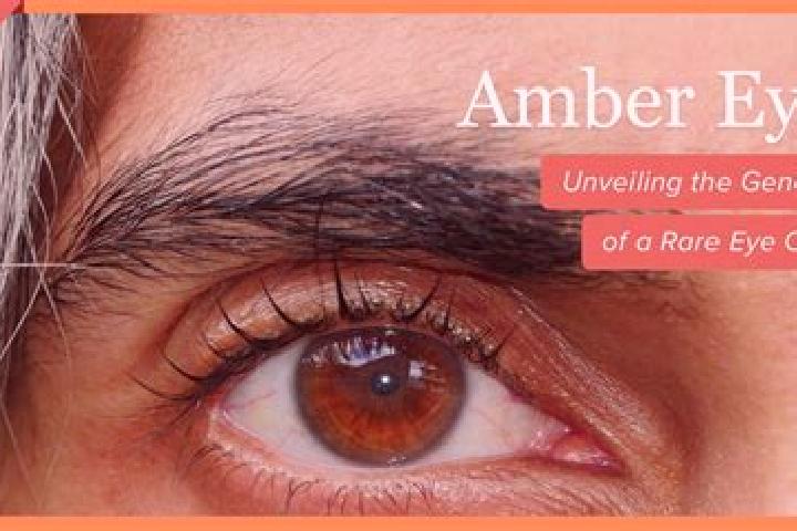 Aubrey, 22, a red amber-eyed mixed companion based in Penaranda. Offering A-Level, Travel Companion, Dinner Date. Available for incall and outcall, day and e...