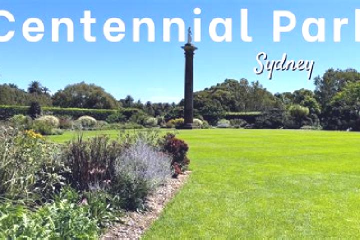 Aubrey, 22 — Escort in Centennial Park, Australia