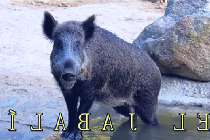 Aubrey, 22 — Escort in El Jabali, Mexico