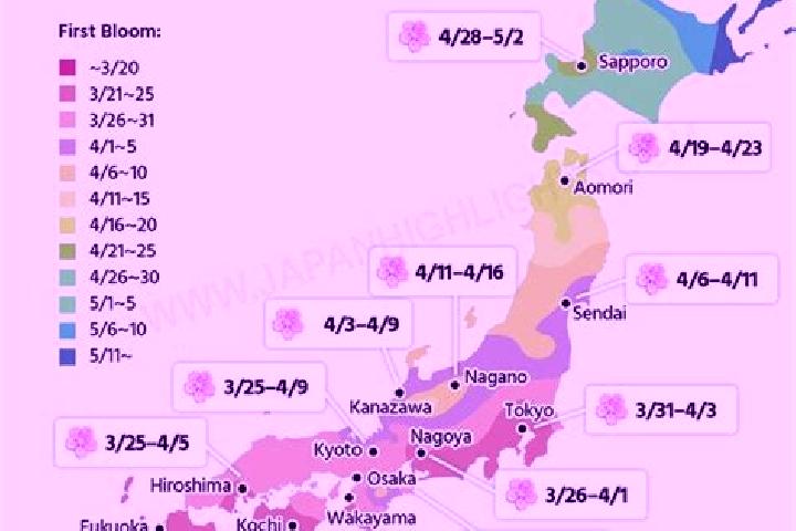 Aubrey, 23 — Escort in Akkeshi, Japan