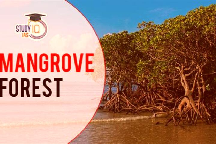 Aubrey, 23 — Escort in Mangrove Bay, China