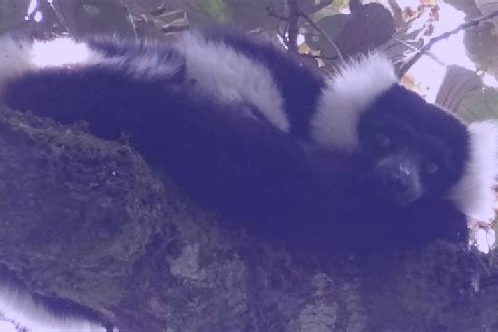 Aubrey, 23 — Escort in Marolambo, Madagascar