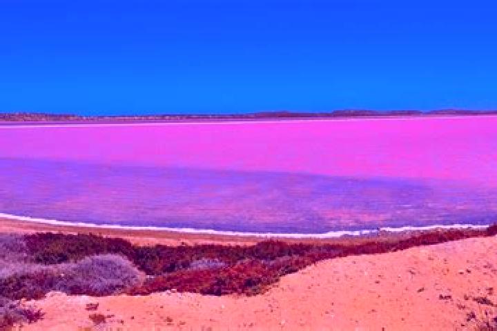 Aubrey, 23 — Escort in Pink Lake, Australia