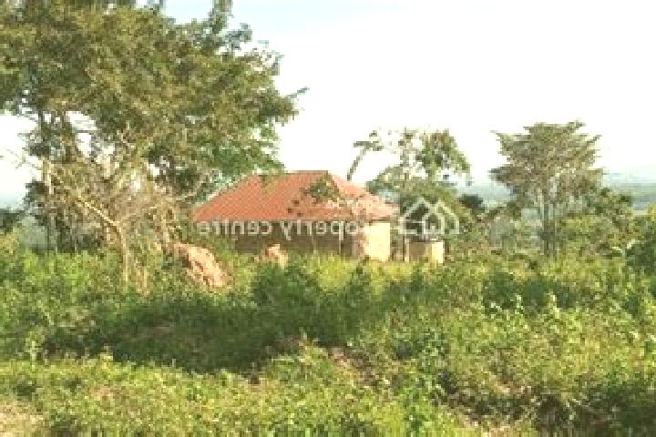 Aubrey, 24 — Escort in Namayumba, Uganda