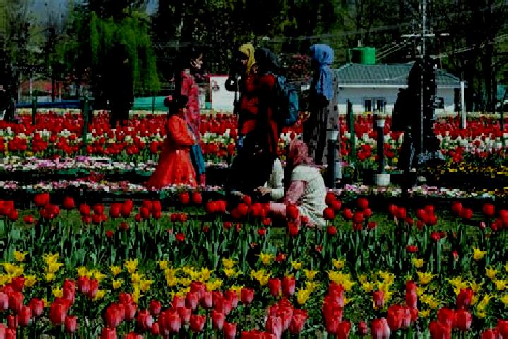 Aubrey, 24 — Escort in Surkh Bilandi, Afghanistan