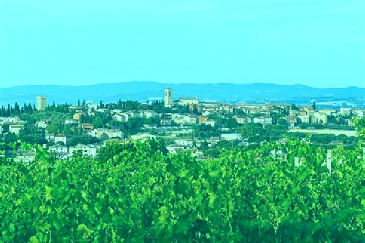Aubrey, 24 — Escort in Torgiano, Italy