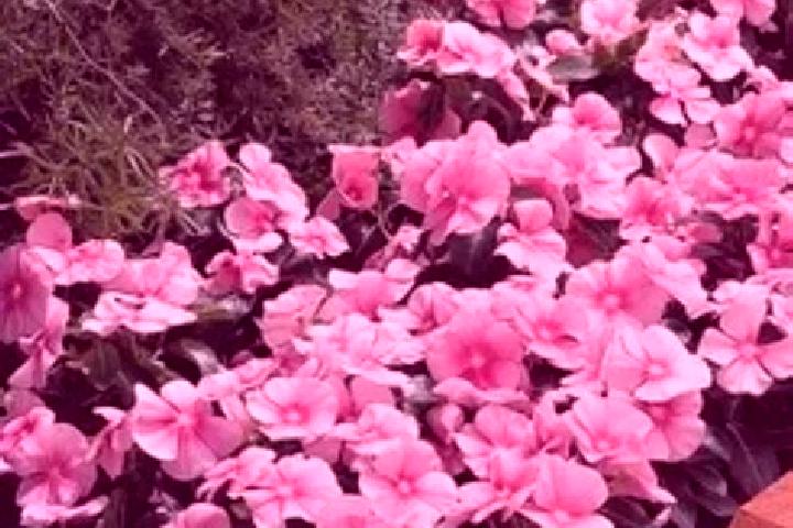 Aubrey, 28 — Escort in Vinca, France