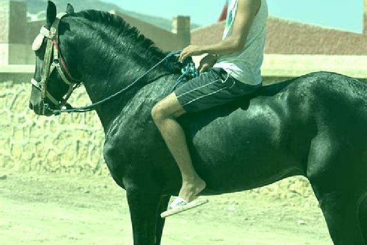 Aubrey, 29 — Escort in Had Kourt, Morocco