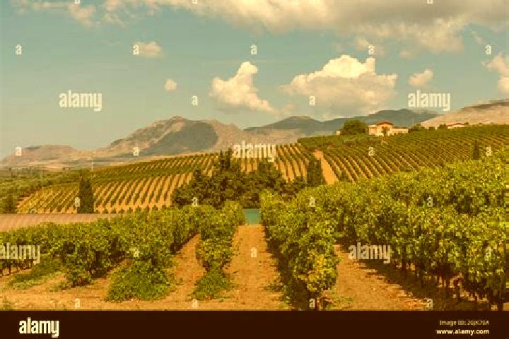 Aubrey, 29 — Escort in San Cipirello, Italy