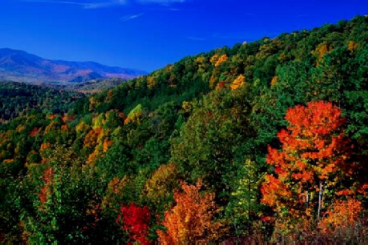 Aubrey, 31 — Escort in Forest, United States