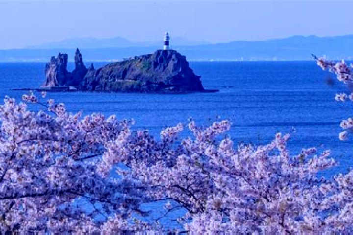 Aubrey, 31 — Escort in Mutsu, Japan