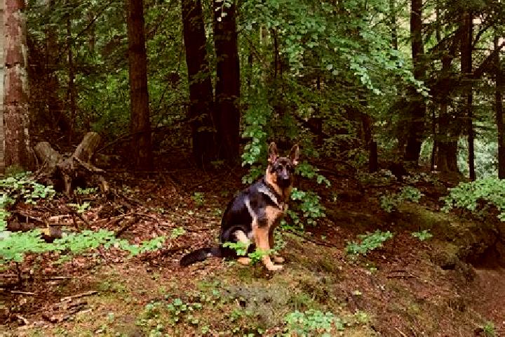 Aubrey, 31 — Escort in Vodskov, Denmark