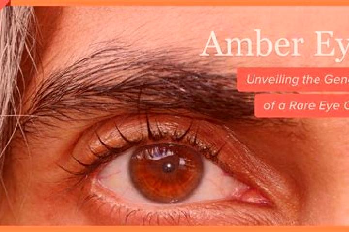 Aubrey, 32, a black amber-eyed caribbean companion based in Madison Lake. Offering A-Level, Tantra, Fetish, Massage, Girlfriend Experience. Available for inc...