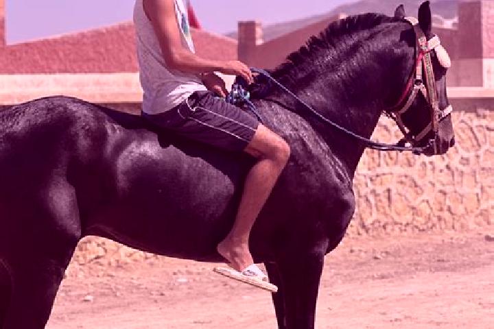 Aubrey, 32 — Escort in Had Kourt, Morocco