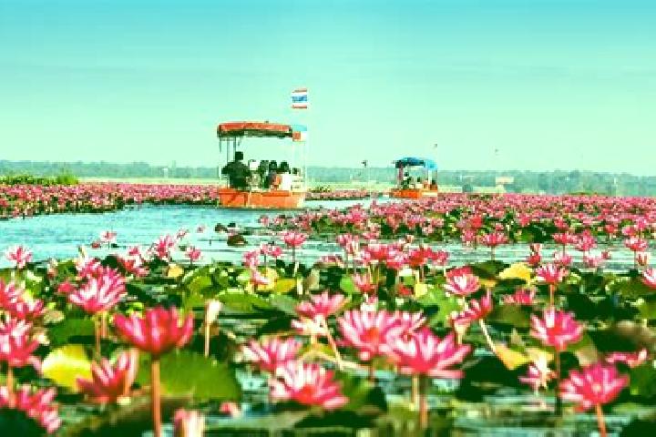 Aubrey, 32 — Escort in Sang Khom, Thailand