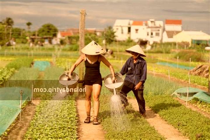 Aubrey, 32 — Escort in Tra Que Vegetable Village, Vietnam