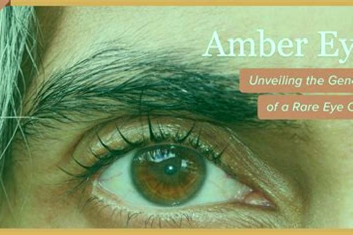 Aubrey, 33, a red amber-eyed ebony companion based in Basen. Offering Fetish, Prostate Massage, Girlfriend Experience, BDSM, Striptease. Available for incall...