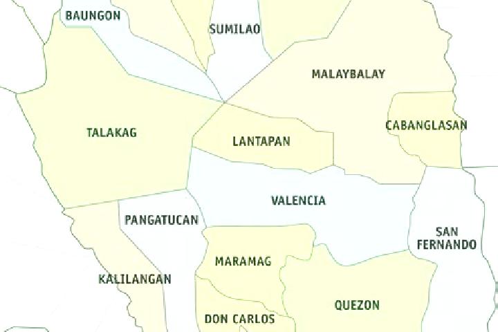 Aubrey, 33 — Escort in Impalutao, Philippines