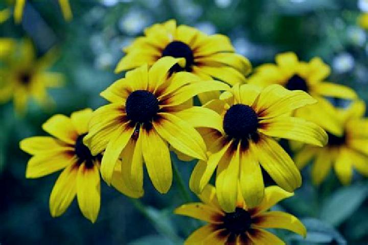Aubrey, 34, a black dark-eyed caucasian companion based in Val. Offering Fetish, CIM, Massage, Dinner Date, 69. Available for incall and outcall, overnight b...