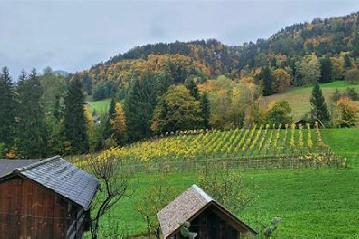 Aubrey, 34 — Escort in Batschuns, Austria