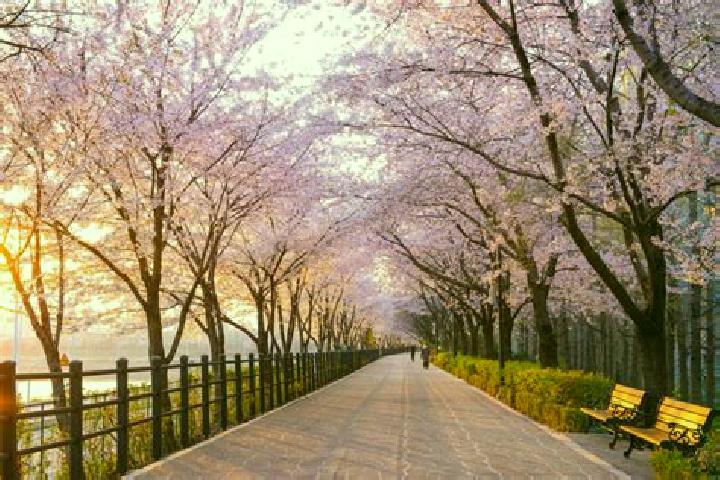Aubrey, 34 — Escort in Deokjin, South Korea