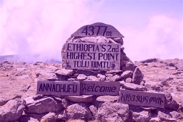 Aubrey, 34 — Escort in Dimtu, Ethiopia