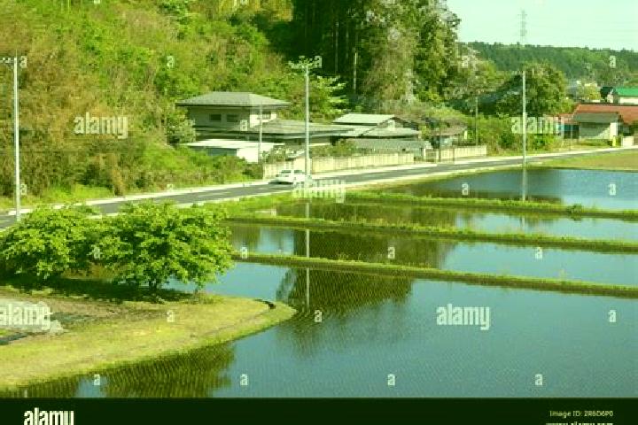 Aubrey, 34 — Escort in Kanuma, Japan
