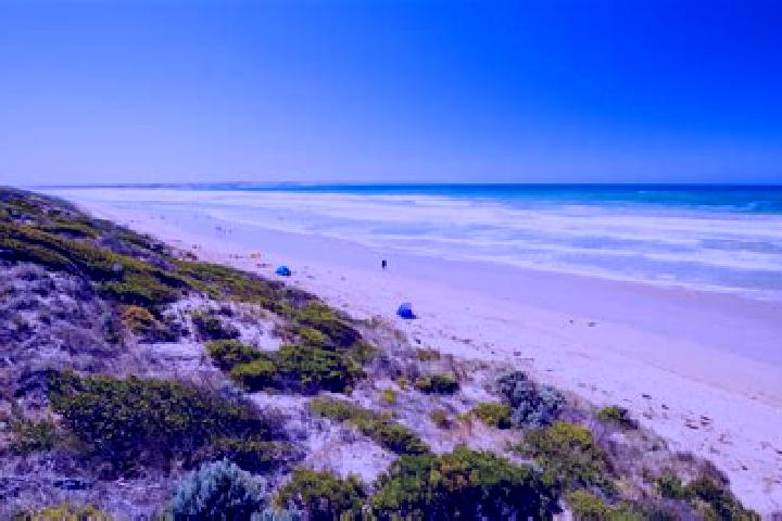 Aubrey, 34 — Escort in Orange Grove, Australia