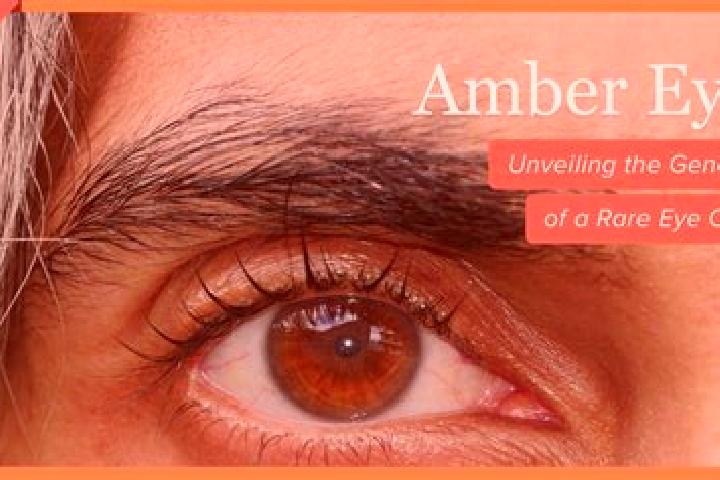Aubrey, 35, a red amber-eyed ebony companion based in Mokrousovo. Offering OWO, 69, Fetish, Striptease. Available for incall and outcall, overnight bookings ...