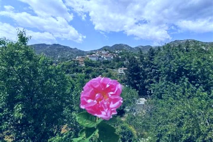 Aubrey, 35 — Escort in Agros, Cyprus