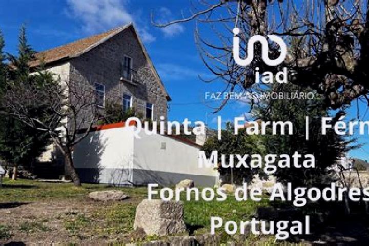 Aubrey, 35 — Escort in Fornos de Algodres, Portugal