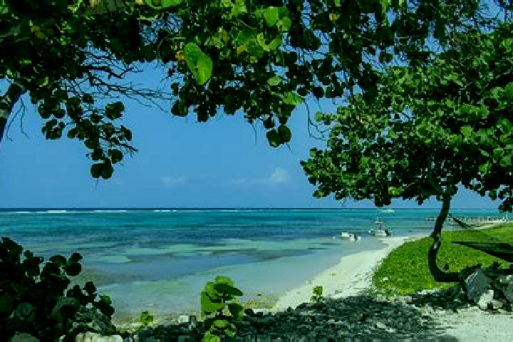 Aubrey, 35 — Escort in Little Cayman, Cayman Islands