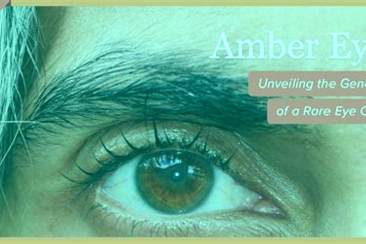 Aubrey, 36, a black amber-eyed mixed companion based in Costessey. Offering Couples, Domination, Tantra, Striptease, 69. Available for incall and outcall, da...