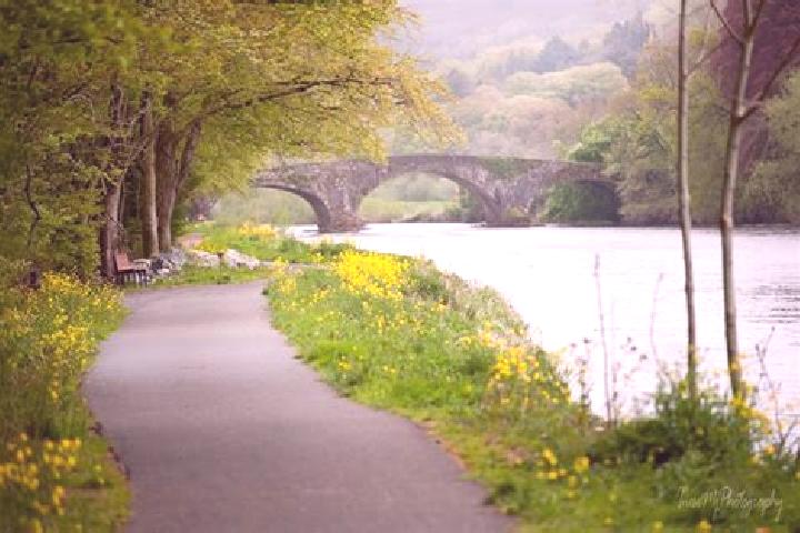 Aubrey, 37 — Escort in Kilsheelan, Ireland