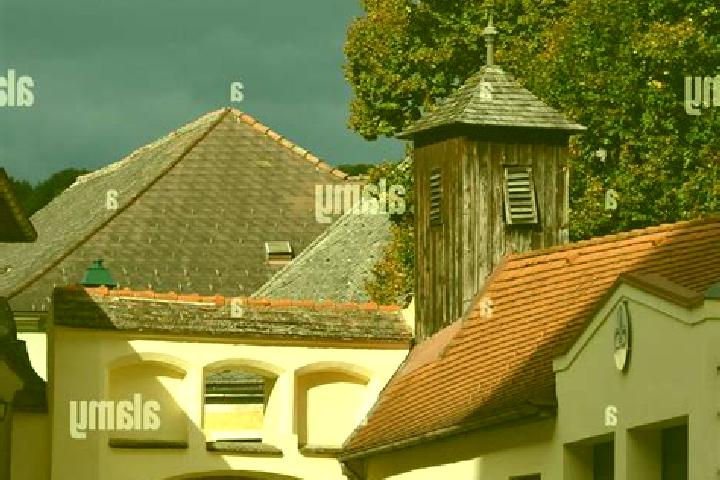 Aubrey, 38 — Escort in Kirchschlag, Austria