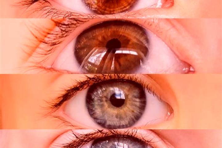 Aubrey, 39, a chestnut dark-eyed mixed companion based in Anlong. Offering GFE, Fetish. Available for incall and outcall, overnight bookings available.