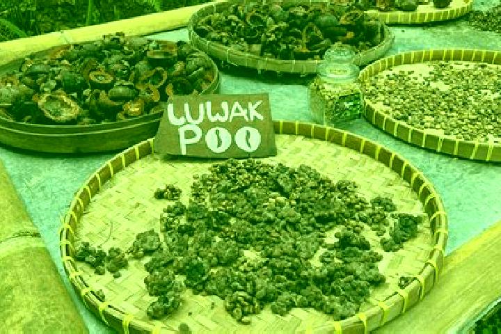 Aubrey, 39 — Escort in Lupak, Indonesia