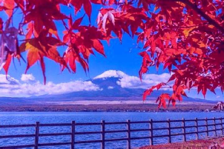 Aubrey, 39 — Escort in Minamidaito, Japan