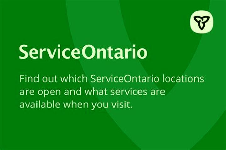Aubrey, 39 — Escort in Ogilvie Ridge, Canada