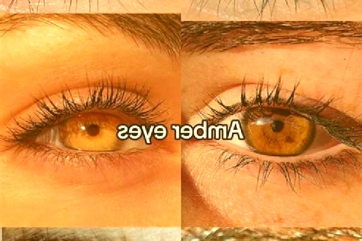 Aurora, 20, a chestnut amber-eyed asian companion based in Berendeyevo. Offering 69, OWO, Fetish, Erotic Massage, Striptease. Available for incall and outcal...