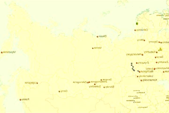 Aurora, 20 — Escort in Aksarayskiy, Russia
