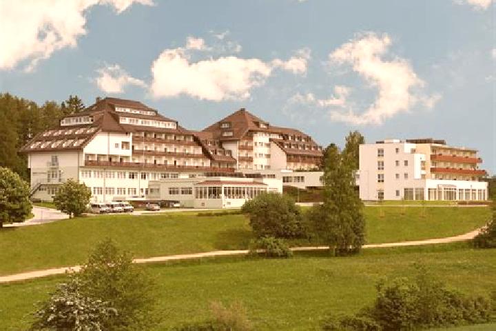 Aurora, 20 — Escort in Alland, Austria