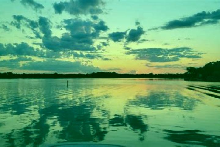 Aurora, 20 — Escort in Beaver Dam Lake, United States