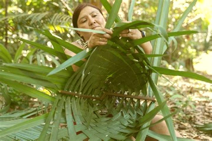 Aurora, 20 — Escort in Canutama, Brazil