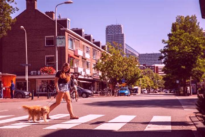 Aurora, 20 — Escort in Duinzigt, Netherlands