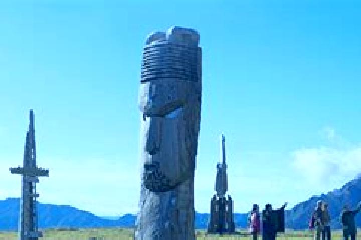 Aurora, 20 — Escort in Hikurangi, New Zealand