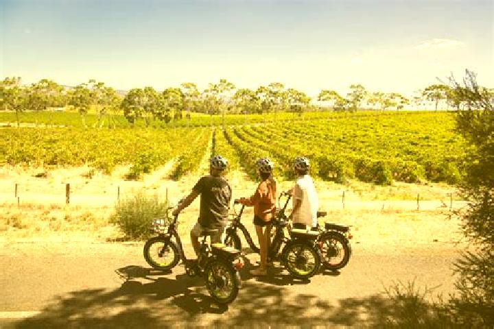 Aurora, 20 — Escort in McLaren Vale, Australia