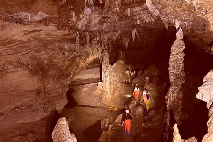 Aurora, 20 — Escort in North Cave, United Kingdom