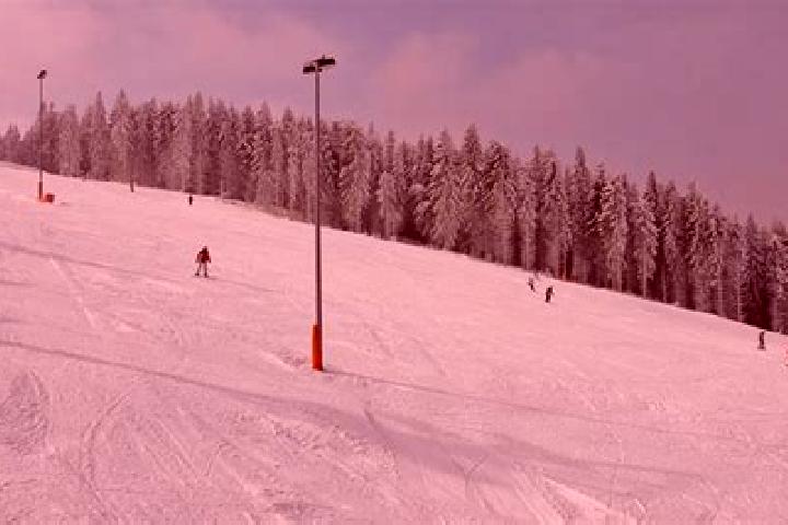 Aurora, 20 — Escort in Oberhof, Switzerland